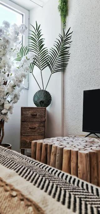 Apartament #New#Terrasse Sud Ouest#Pied De La Cite #1 Carcassonne Zewnętrze zdjęcie