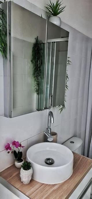 Apartament #New#Terrasse Sud Ouest#Pied De La Cite #1 Carcassonne Zewnętrze zdjęcie